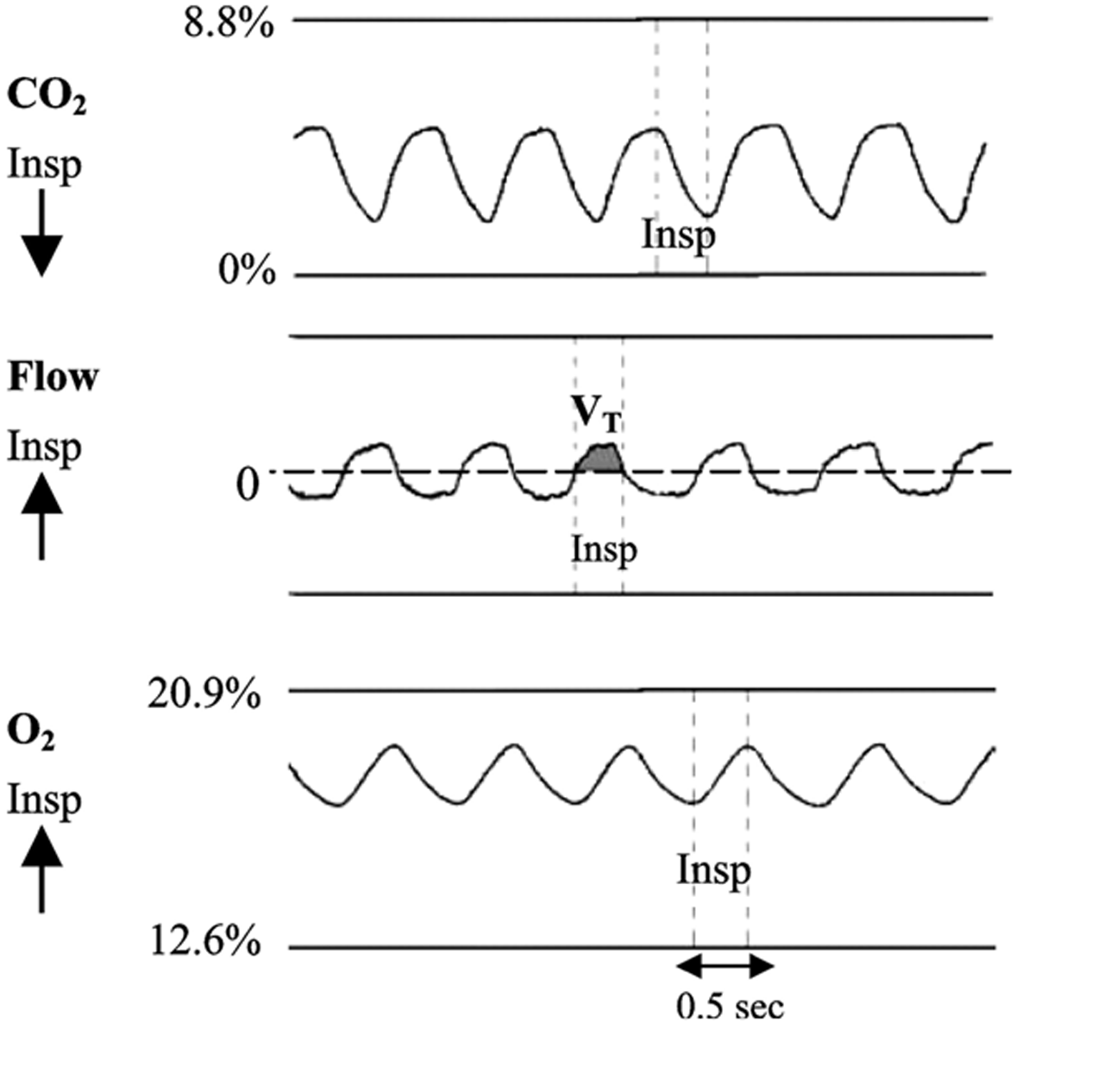Obr. 3 Priebeh obsahu CO2 a O2 počas dýchania. Čiarkovanými čiarami sú vyznačené hranice jedného nádychu.